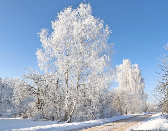 зима в Беларуси