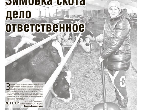 новости Ивьевского района