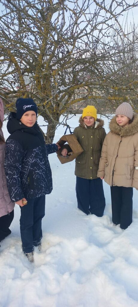 кормушки для птиц