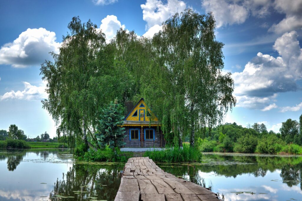 деревенская природа