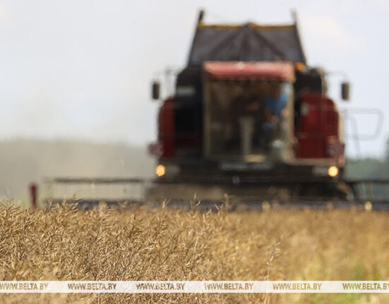 сельское хозяйство