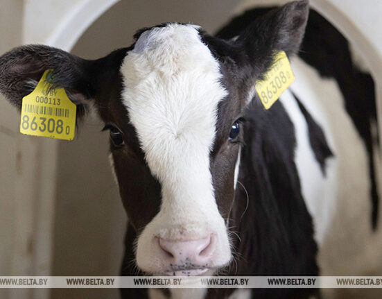 животноводство