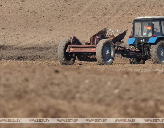 сельское хозяйство