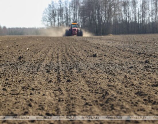посевная в Беларуси