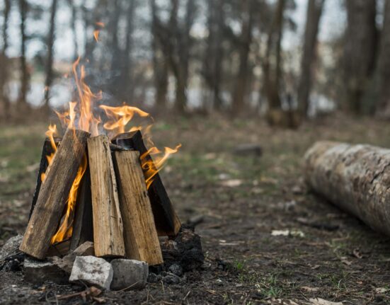 костер в лесу