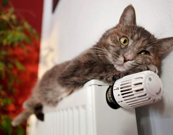 кот на батарее