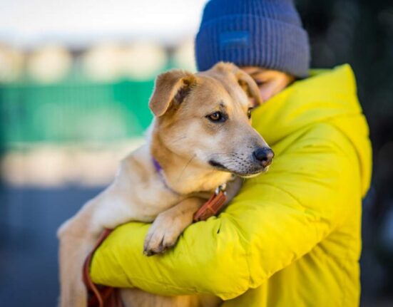 человек и собака