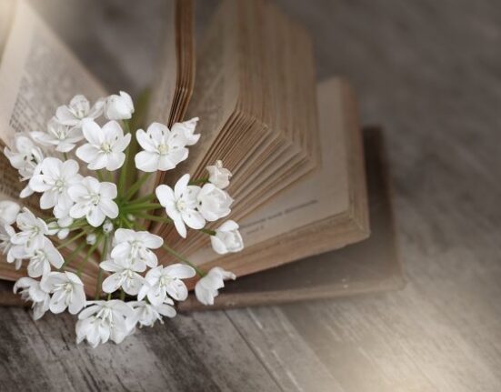 чтение весной