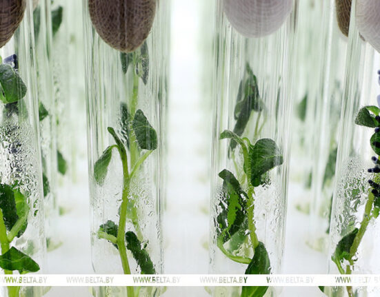 селекция сельхозрастений