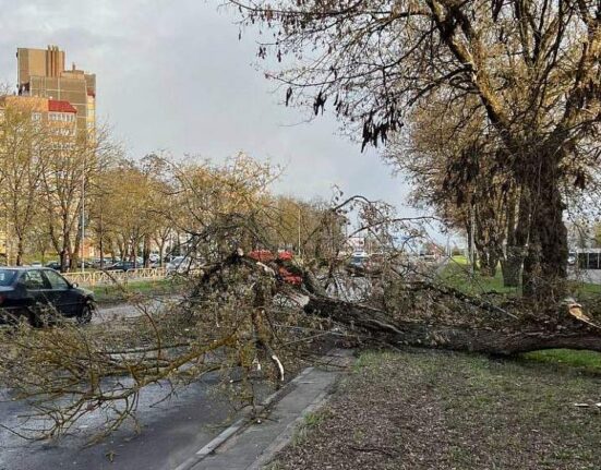 ураган в Гродненской области
