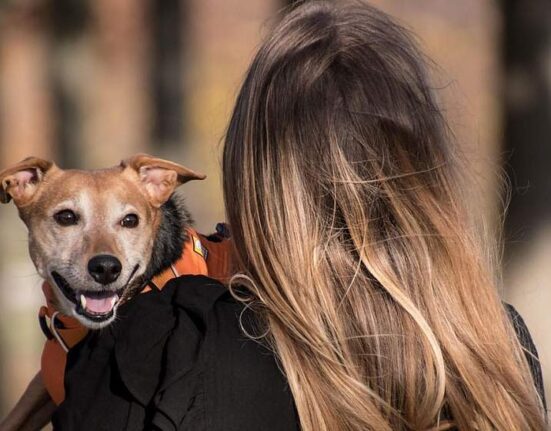 девушка с собакой