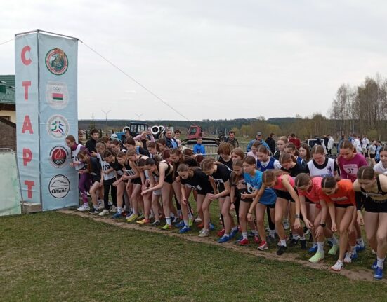 коробчицы кросс