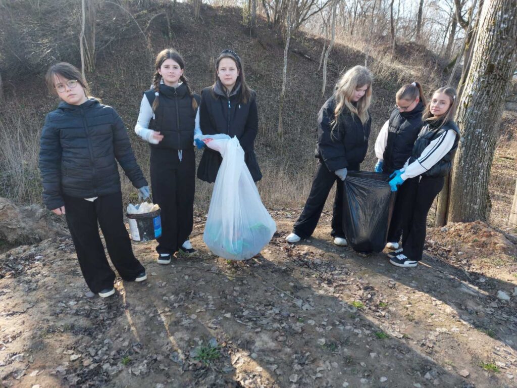 уборка леса от мусора