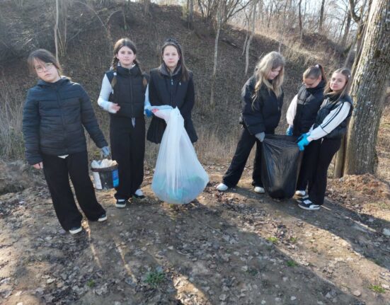 уборка леса от мусора