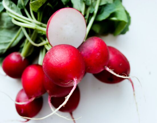 редиска
