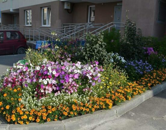 клумбы