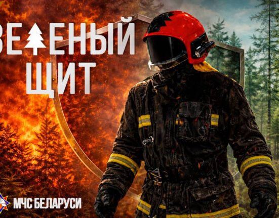 зеленый щит