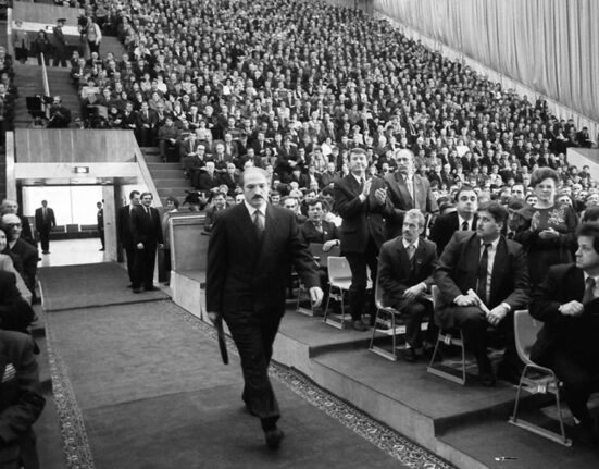 первое ВНС, Президент