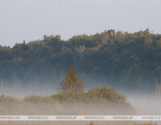 туман