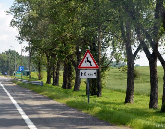 животное на дороге, знак