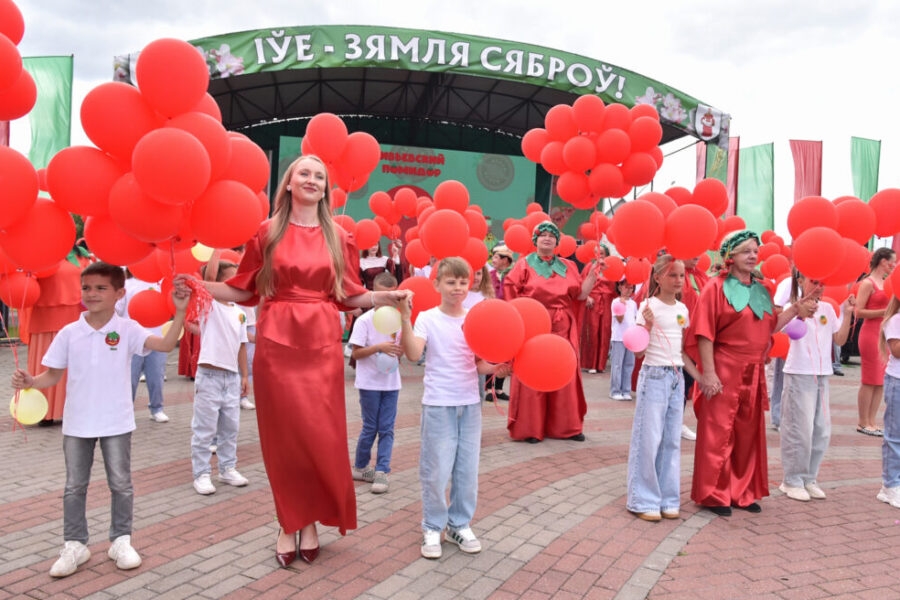 Ивьевский помидор 2026