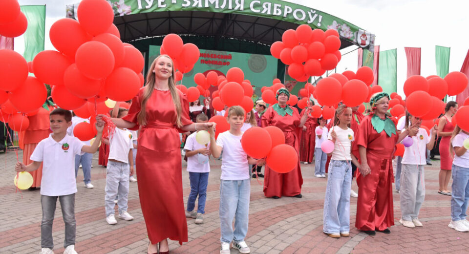 Ивьевский помидор 2026