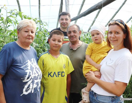 семья Радкевич, которая выращивает томаты в Ивье