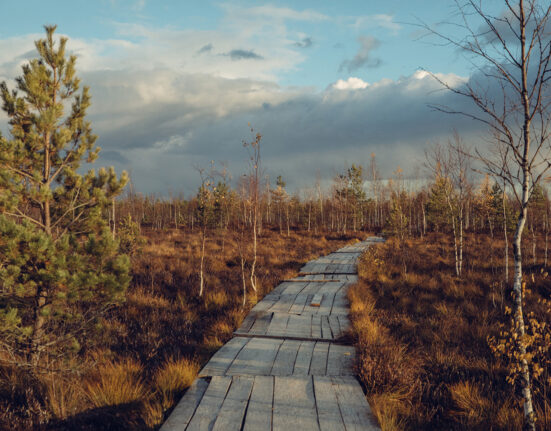 погода в Беларуси